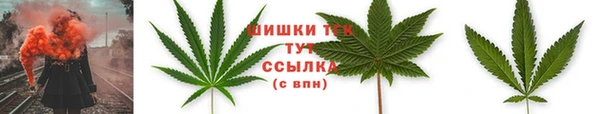 мдпв Володарск