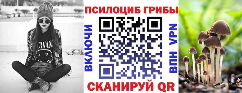 купить наркоту  Новоалександровск  Псилоцибиновые грибы Psilocybine cubensis 