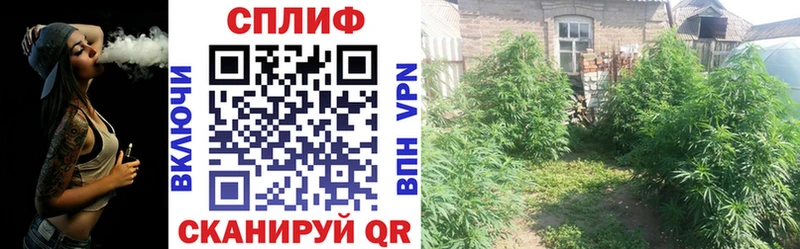 Бошки Шишки AK-47  купить наркотик  Новоалександровск 